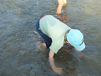 07.08.2012 17:26:04
07.08.2012
Rumänien 2012
Rumänien
Galerie