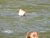 07.08.2012 17:36:21
07.08.2012
Rumänien 2012
Rumänien
Galerie