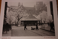 16.10.2015 23:06:54
Stralsund, wie es gestern war
Galerie