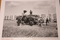 16.10.2015 23:05:30
Stralsund, wie es gestern war
Galerie