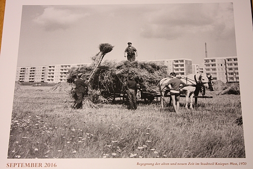 &copy; <a class='unglow' target='_blank' href='https://de.wikipedia.org/wiki/Harry_Hardenberg'>Harry Hardenberg</a>
16.10.2015 23:05:30
Stralsund, wie es gestern war
Galerie