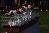 12.06.2015 16:38:23
Friedensfest 2015
Grundschule Garching West
Garching
Galerie