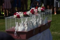 12.06.2015 16:38:31
Friedensfest 2015
Grundschule Garching West
Garching
Galerie