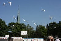 12.06.2015 16:40:20
Friedensfest 2015
Grundschule Garching West
Garching
Galerie