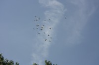 12.06.2015 16:40:49
Friedensfest 2015
Grundschule Garching West
Garching
Galerie