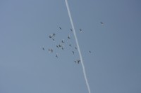 12.06.2015 16:40:50
Friedensfest 2015
Grundschule Garching West
Garching
Galerie