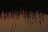 25.04.2013 20:05:50
Kuhschellen
Garchinger Umland
Garching
Galerie