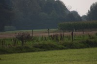 10.09.2014 15:48:18
Der Habichtweg bei Eicherloh
Garchinger Umland
Garching
Galerie