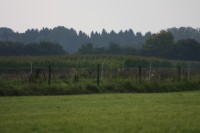 10.09.2014 15:51:13
Der Habichtweg bei Eicherloh
Garchinger Umland
Garching
Galerie