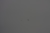 10.09.2014 15:58:05
Der Habichtweg bei Eicherloh
Garchinger Umland
Garching
Galerie