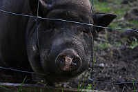 25.09.2016 16:33:04
Tipiplatz/Schrottkirche
Langwied
Garchinger Umland
Garching